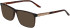 Jaguar 31031 sunglasses in Matt Brown