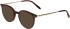Jaguar 32708 sunglasses in Matt Brown
