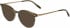 Jaguar 32708 sunglasses in Khaki