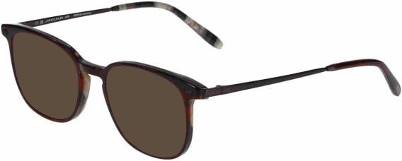 Jaguar 32709 sunglasses in Brown
