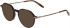 Jaguar 32712 sunglasses in Matt Brown
