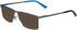 Jaguar 35608 sunglasses in Grey