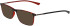 Jaguar 36829 sunglasses in Brown/Red