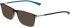 Jaguar 36829 sunglasses in Tortoise/Blue
