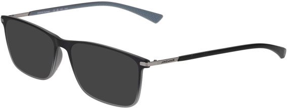 Jaguar 36829 sunglasses in Grey