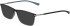 Jaguar 36829 sunglasses in Grey