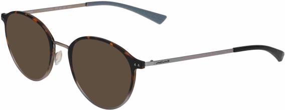 Jaguar 36830 sunglasses in Tortoise/Grey