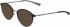 Jaguar 36830 sunglasses in Tortoise/Grey