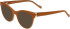 Joop! 81210 sunglasses in Matt Brown