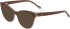 Joop! 81210 sunglasses in Brown