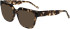 Joop! 81236 sunglasses in Brown Pattern