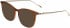Joop! 82112 sunglasses in Matt Light Brown