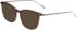 Joop! 82112 sunglasses in Matt Dark Brown