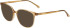 Joop! 86010 sunglasses in Clear Amber