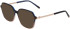 Menrad 12060 sunglasses in Brown/Clear Brown