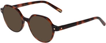 Morgan 201162 sunglasses in Matt Brown