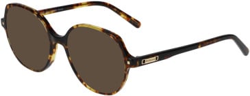 Morgan 201170 sunglasses in Dark Havana