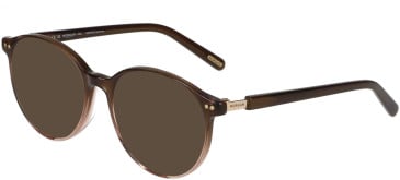 Morgan 202035 sunglasses in Brown/Clear Brown