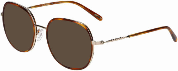 Morgan 203272 sunglasses in Tortoise/Gold