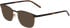 Menrad 13493 sunglasses in Black/Brown