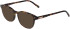 Morgan 201160 sunglasses in Tortoise/Pink
