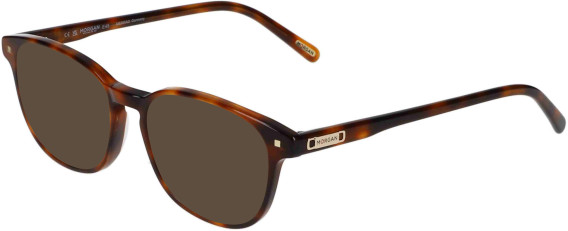 Morgan 201160 sunglasses in Tortoise