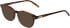 Morgan 201160 sunglasses in Tortoise