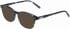 Morgan 201160 sunglasses in Blue Pattern