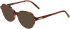 Morgan 201161 sunglasses in Brown Pattern