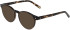 Morgan 201163 sunglasses in Brown/Clear Brown