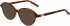 Morgan 201164 sunglasses in Matt Brown