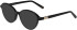 Morgan 201164 sunglasses in Matt Black