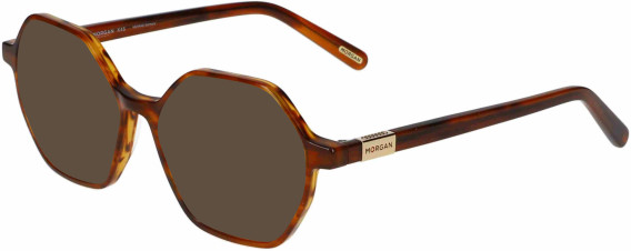 Morgan 201165 sunglasses in Matt Brown