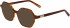 Morgan 201165 sunglasses in Matt Brown