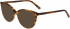 Morgan 201167 sunglasses in Brown Horn