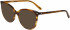 Morgan 201168 sunglasses in Brown Horn