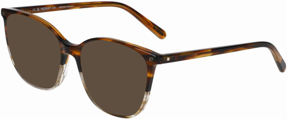 Morgan 201169 sunglasses in Brown/Clear Brown