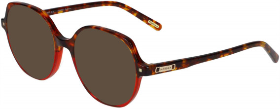 Morgan 201170 sunglasses in Tortoise/Red