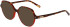 Morgan 201170 sunglasses in Tortoise/Red