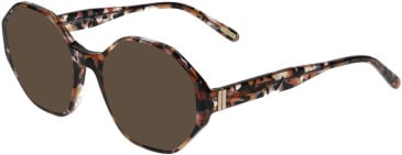 Morgan 201171 sunglasses in Brown Pattern
