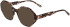 Morgan 201171 sunglasses in Brown Pattern