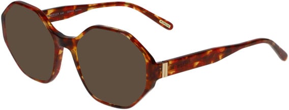 Morgan 201171 sunglasses in Brown
