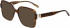 Morgan 201172 sunglasses in Tortoise