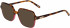 Morgan 201173 sunglasses in Tortoise/Pink