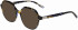 Morgan 201174 sunglasses in Tortoise/Blue