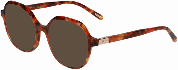 Morgan 201174 sunglasses in Light Brown Pattern