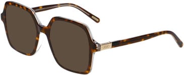 Morgan 201175 sunglasses in Tortoise