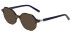 Morgan 202036 sunglasses in Brown/Blue