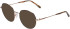 Morgan 203244 sunglasses in Black/Gold