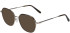 Morgan 203266 sunglasses in Dark Tortoise/Silver